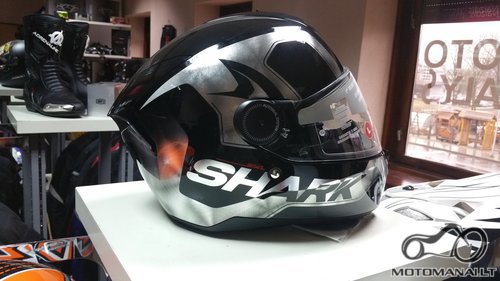 Shark Shark skwal  (L) 