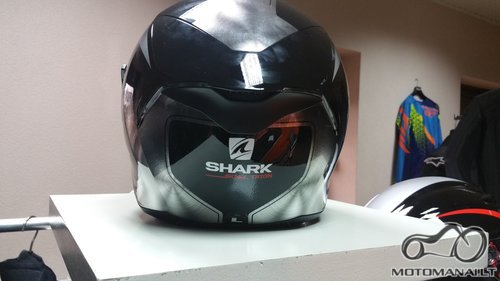 Shark Shark skwal  (L) 
