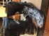 Alpinestars 
