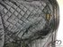 Sportex Sportex odine striuke  (38 arba S/M) 