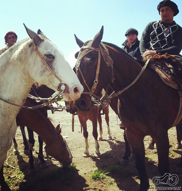 gauchos caballeros