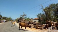 Prasedejo miestas, reikia buti atsargiam, nes karve numust baisu :) Kelionės ir poilsis Vietnamas - virš 3000 km. per šalį ant dviejų ratų. 1970 Prasedejo miestas, reikia buti atsargiam, nes karve numust baisu :)