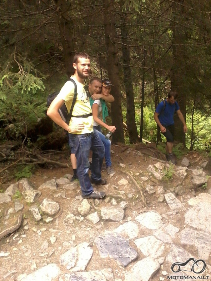 Va taip vat ir lipam