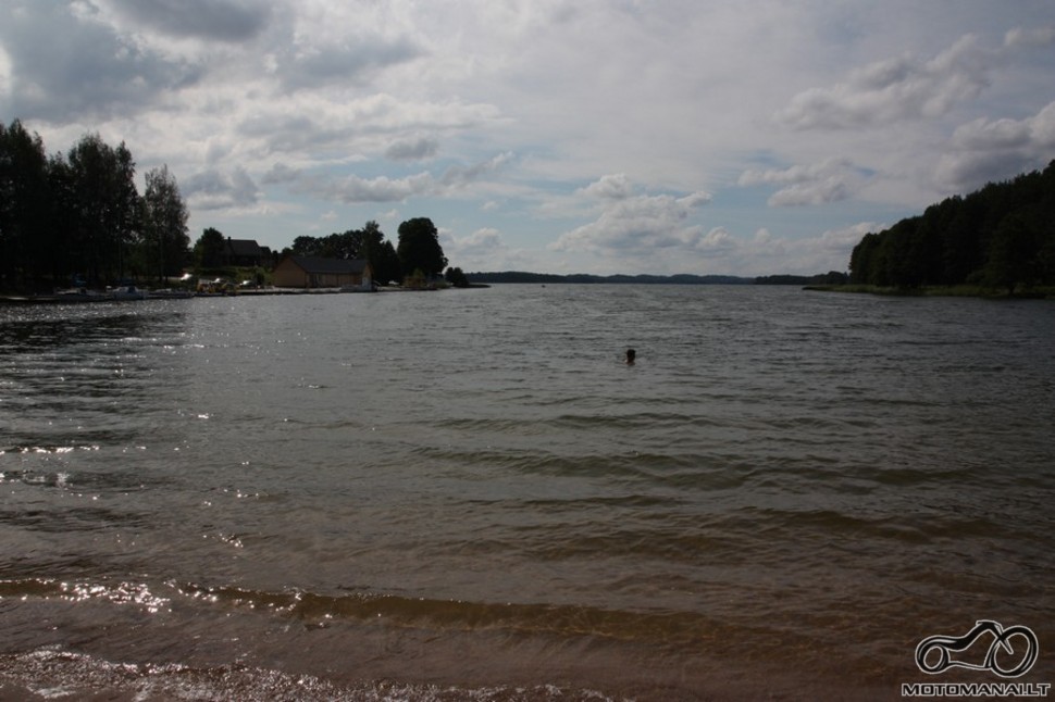 Palūšė