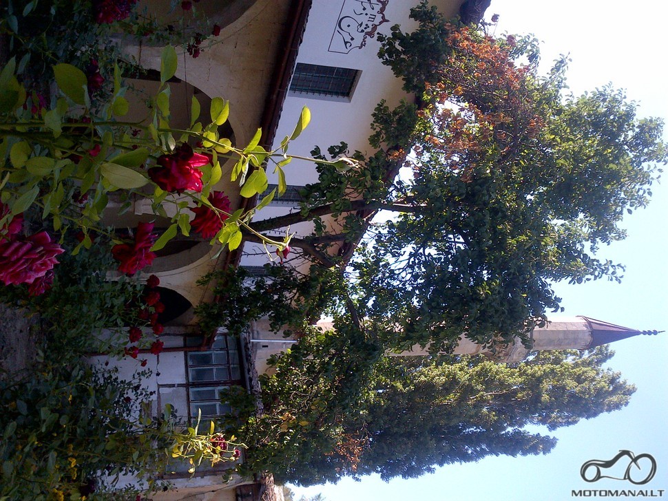 Chanų miestas Kryme. Rožė - amžingo gyvenimo simbolis, minaretas - sąsaja su dangumi.