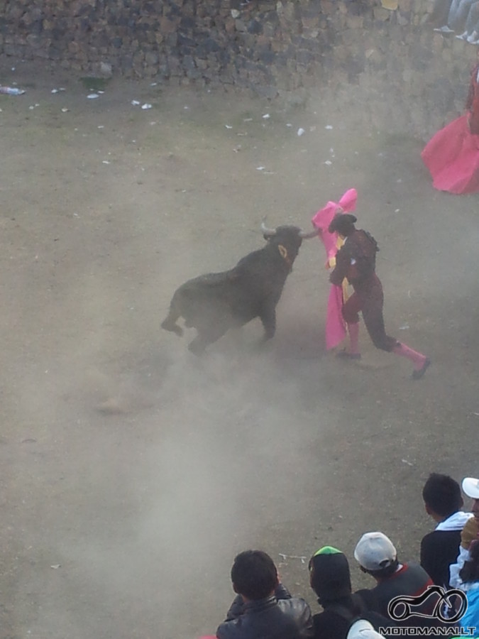 corrida de toros/Coporaque