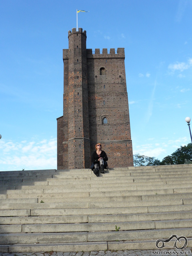 Helsingborgo pilis.