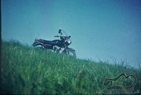 dar viena retro