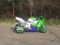 zx9r