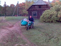 ant dwejetuko