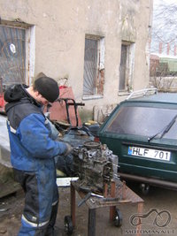 kamstis