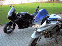 Suzukiai