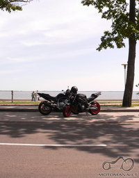 2007 vasara, juodkrante