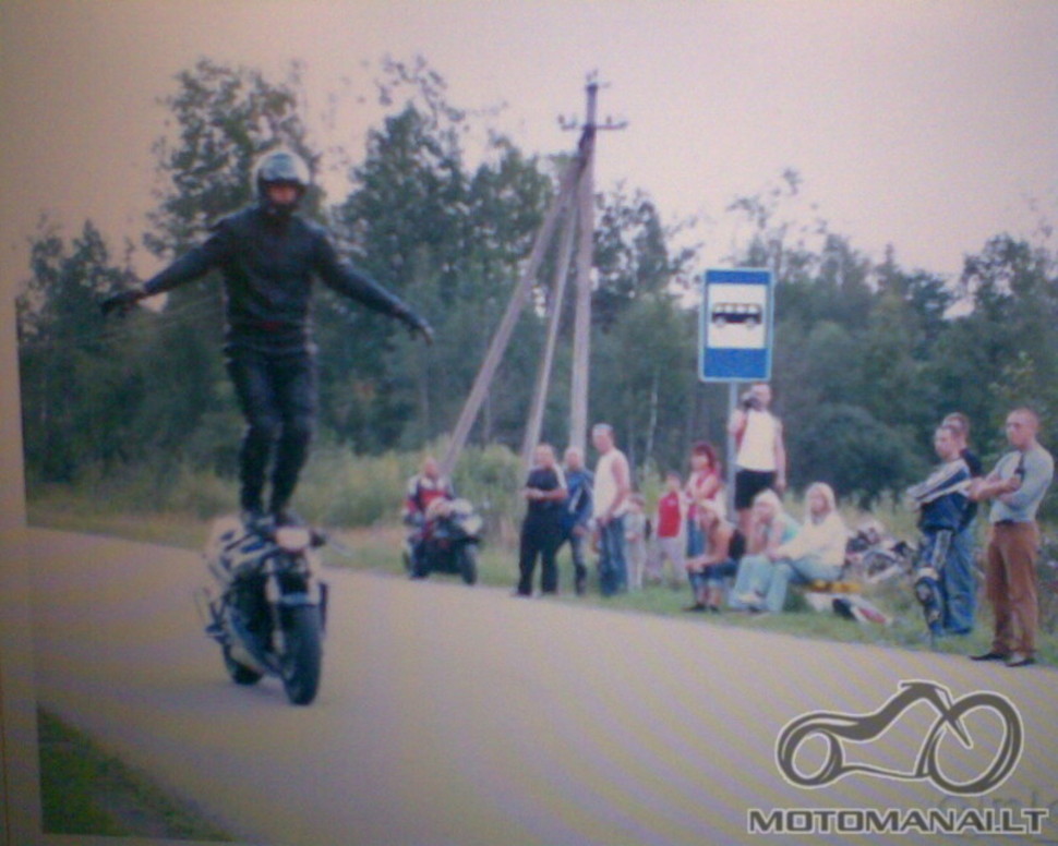 valteras ant moco