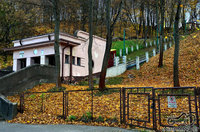 Funikas