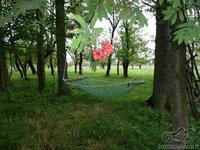 Kauno motomanai: Pasivėžinimų ir pasisėdėjimų tema. kovo 2 d. (antradienį) 19.00 užeigoje -Aitvaras- Kauno motomanai Kauno motociklininkų būrelis. Funikas valdo :) 1970 Kauno motomanai: Pasivėžinimų ir pasisėdėjimų tema. kovo 2 d. (antradienį) 19.00 užeigoje -Aitvaras-