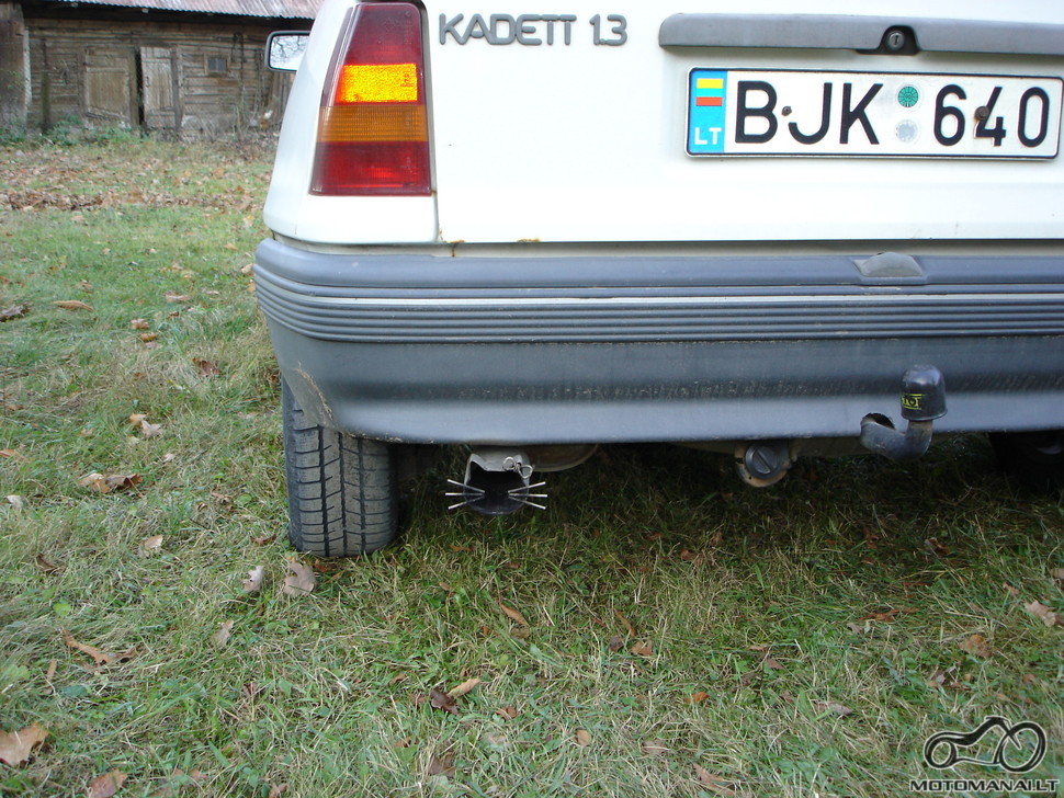puskes kadis 'MIAU'