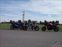Vadokliai