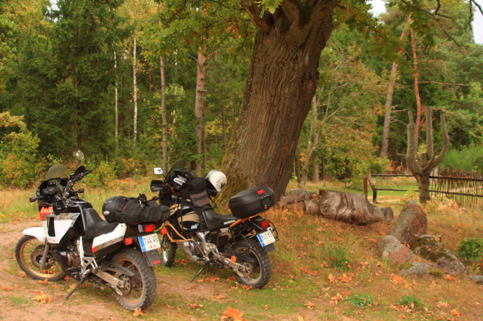 Šiaulių enduro