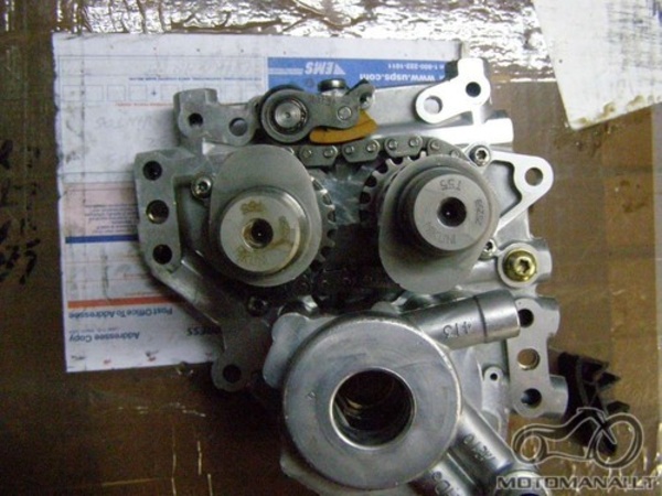 cam support plate