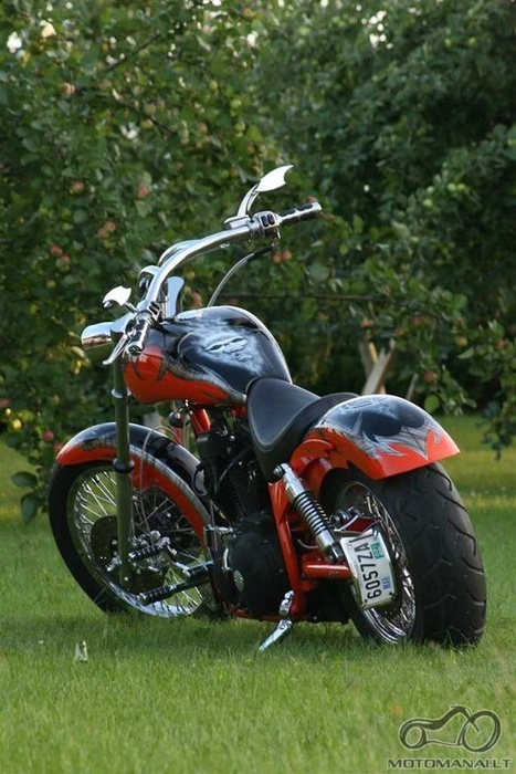 Širvintų dienoraštis. Harley Davidson kaNpelis.