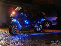 Suzi blue led lights