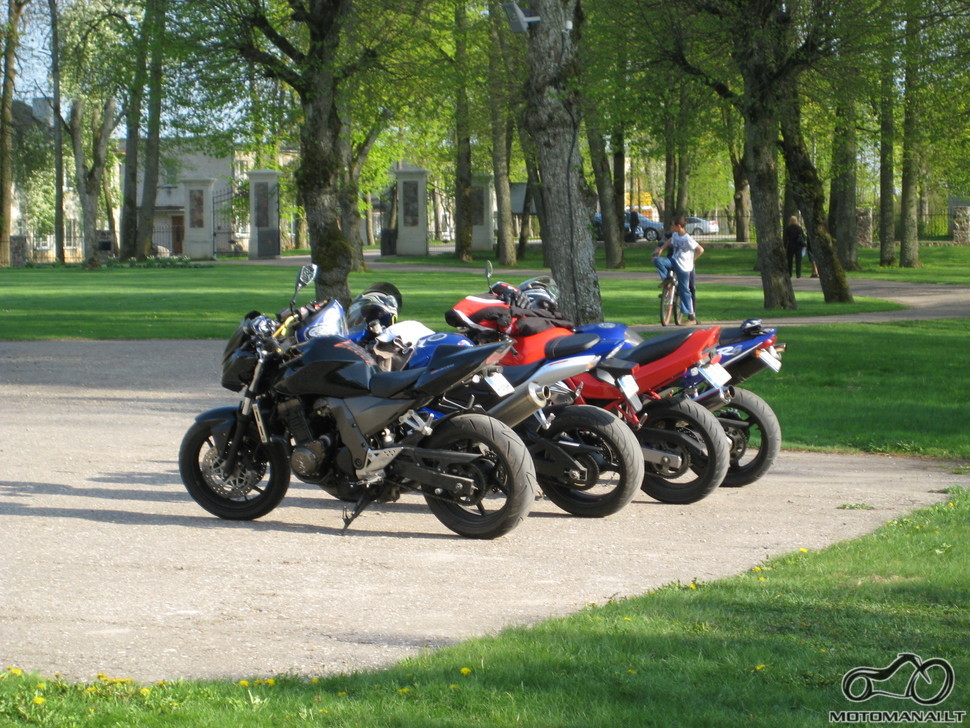 Mūsų žirgai
