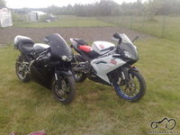 Aprilia Rs nuo 2006