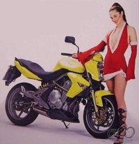 ATSAKYTA - Sandra R. Ros pozuoja šalia KAWASAKI ER-6N motociklo