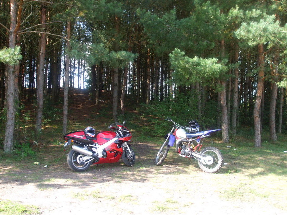 Detaliu kratinys  yamaha dt 80
