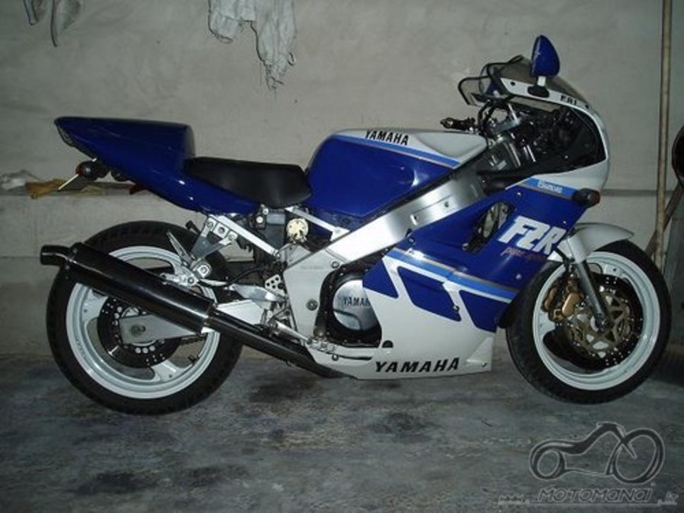 FZR 1000 tuning The series (y)