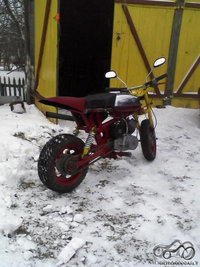 Mopedistams
