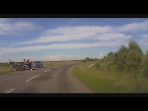 Horse vs car Конь против тачки