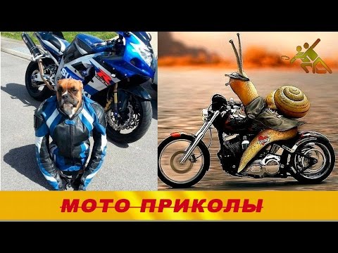 МОТО СМЕХ! ЛУЧШЫЕ МОТО ПРИКОЛЫ НА БАЙКАХ!