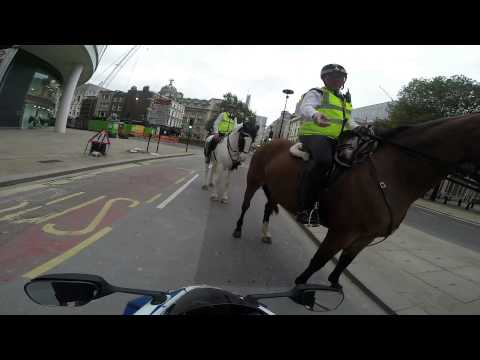 Suzuki GSXR wheelie and busted by police on a horse in Central London