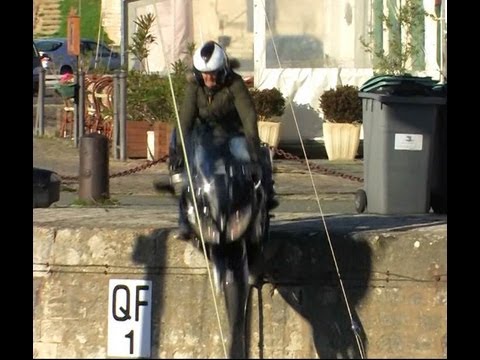 Lolo tombe dans le Port de Saint Martin en Ré en Yamaha FJR 1300