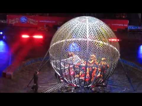 Globe of Steel with 8 motorcycle - Globo da Morte com 8 Motos