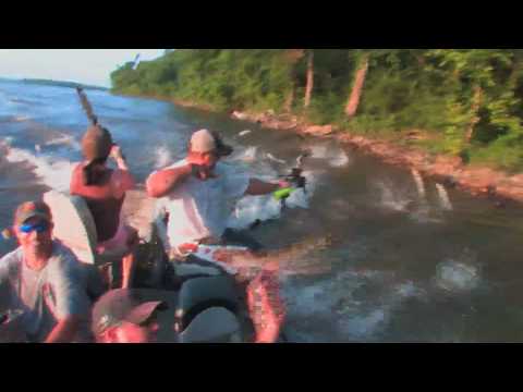 The Attack of the Jumping Asian Carp - Reel Shot TV