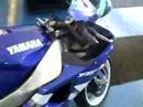 Yamaha R1 Shorty Exhaust