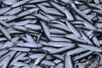 MOTOMANŲ 2009 METŲ PALYDĖTUVĖS KAUNE, LAPKRIČIO 28 D. - NUOSTOLIŲ ATLYGINIMAS, PIRATĖS IR PIRATO RINKIMAI Renginiai ir susitikimai MOTOMANŲ 2009 METŲ PALYDĖTUVĖS KAUNE, LAPKRIČIO 28 D. - NUOSTOLIŲ ATLYGINIMAS, PIRATĖS IR PIRATO RINKIMAI 1970 MOTOMANŲ 2009 METŲ PALYDĖTUVĖS KAUNE, LAPKRIČIO 28 D. - NUOSTOLIŲ ATLYGINIMAS, PIRATĖS IR PIRATO RINKIMAI