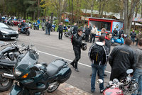 Vingio parkas